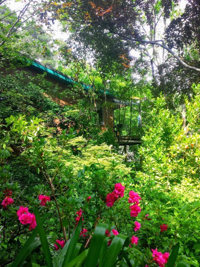 Koko Guesthouse - One Bedroom Option Олинда Экстерьер фото